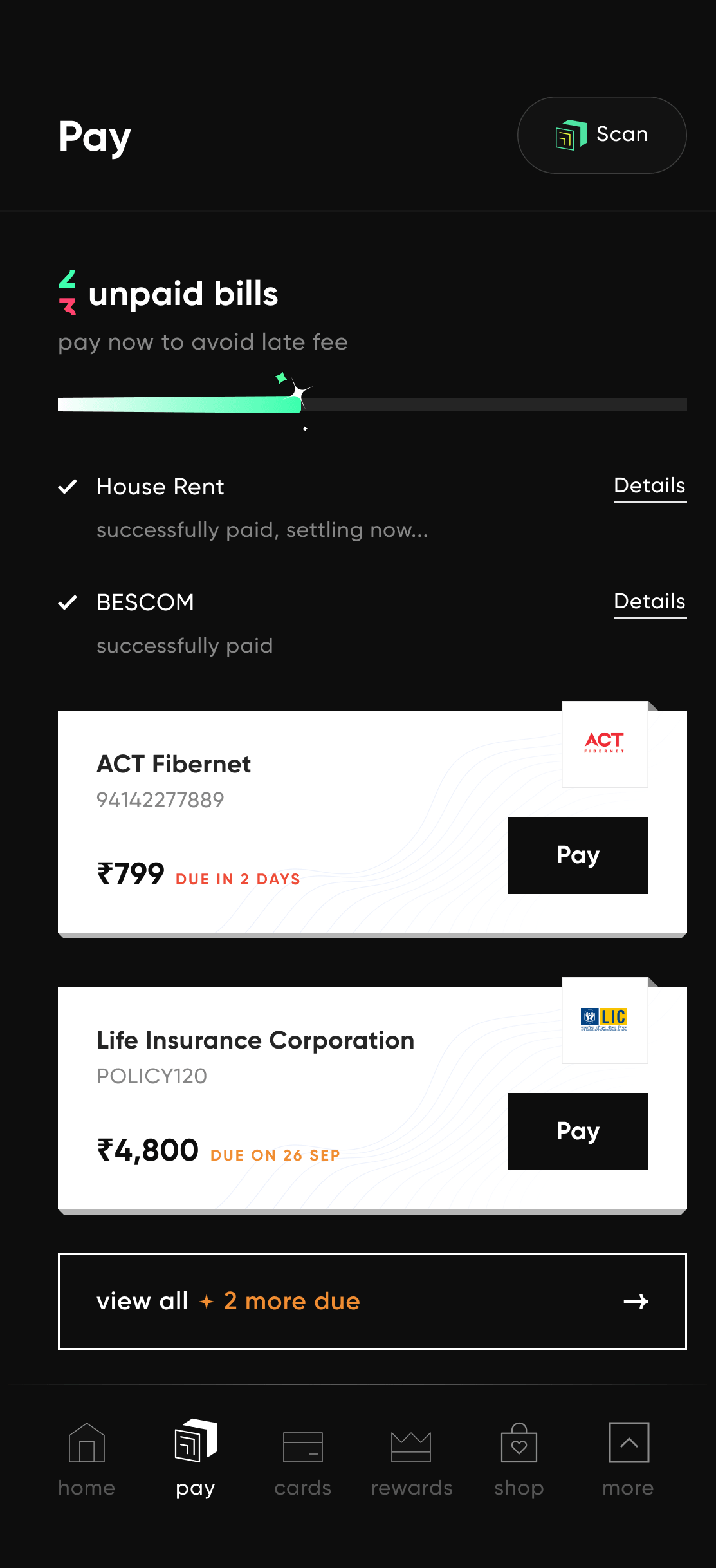 Mobile design of Pay surface in CRED