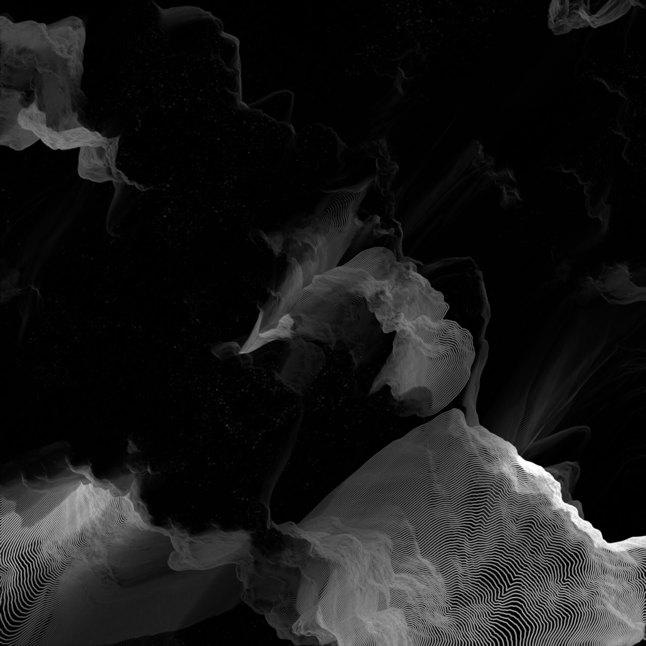 Programmed floral pattern generation made with Touch Designer